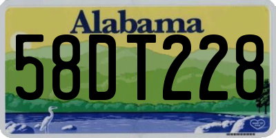 AL license plate 58DT228