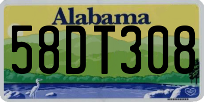 AL license plate 58DT308