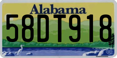 AL license plate 58DT918
