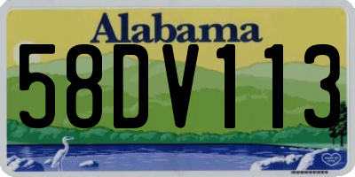 AL license plate 58DV113