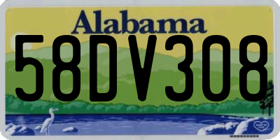 AL license plate 58DV308