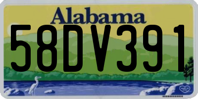 AL license plate 58DV391