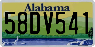 AL license plate 58DV541