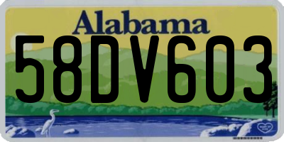AL license plate 58DV603