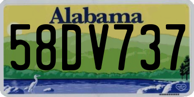 AL license plate 58DV737