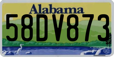 AL license plate 58DV873
