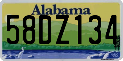 AL license plate 58DZ134