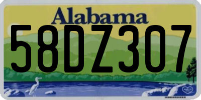 AL license plate 58DZ307