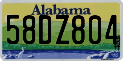 AL license plate 58DZ804