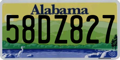 AL license plate 58DZ827