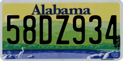 AL license plate 58DZ934