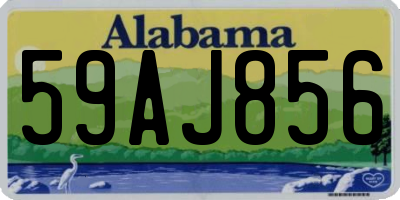 AL license plate 59AJ856