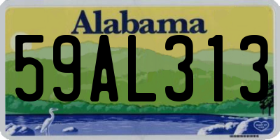 AL license plate 59AL313