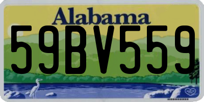 AL license plate 59BV559