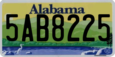 AL license plate 5AB8225
