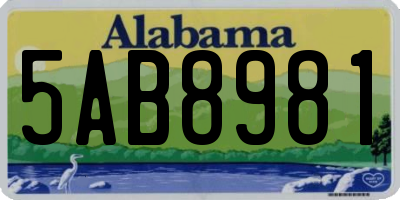 AL license plate 5AB8981