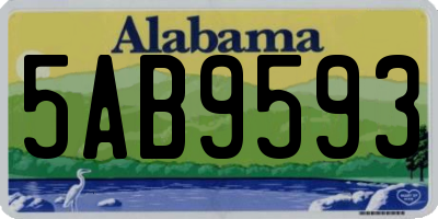 AL license plate 5AB9593
