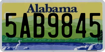 AL license plate 5AB9845