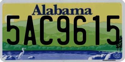 AL license plate 5AC9615