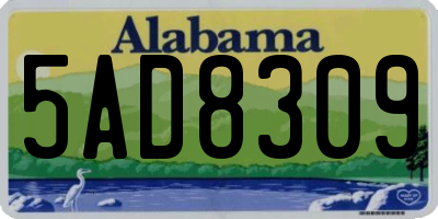 AL license plate 5AD8309