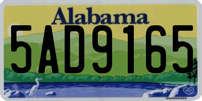 AL license plate 5AD9165