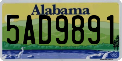 AL license plate 5AD9891