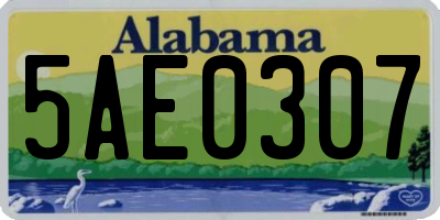 AL license plate 5AE0307