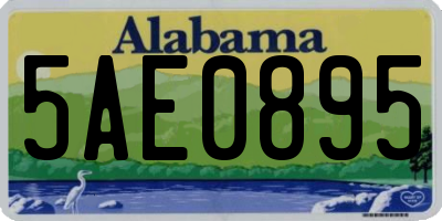 AL license plate 5AE0895