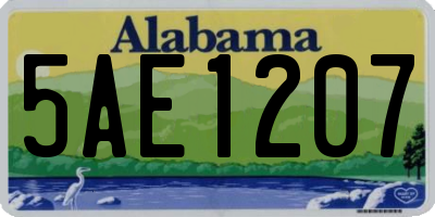 AL license plate 5AE1207
