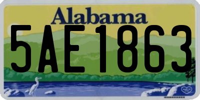 AL license plate 5AE1863