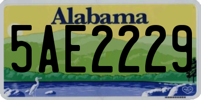 AL license plate 5AE2229
