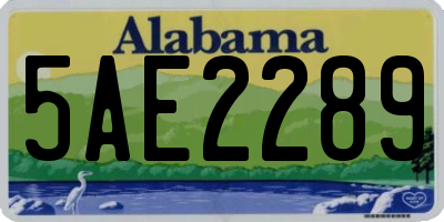 AL license plate 5AE2289