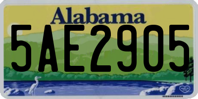 AL license plate 5AE2905