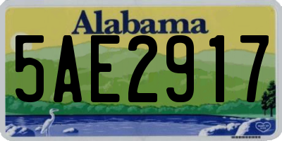 AL license plate 5AE2917