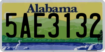 AL license plate 5AE3132