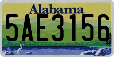 AL license plate 5AE3156