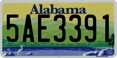 AL license plate 5AE3391