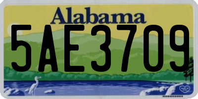 AL license plate 5AE3709