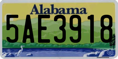 AL license plate 5AE3918