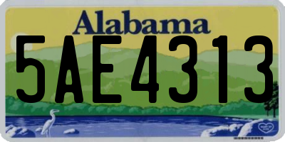 AL license plate 5AE4313