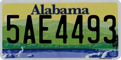 AL license plate 5AE4493