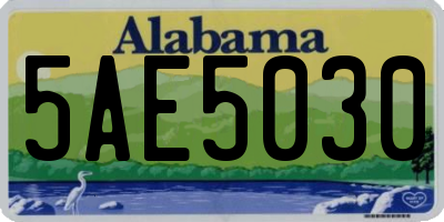 AL license plate 5AE5030