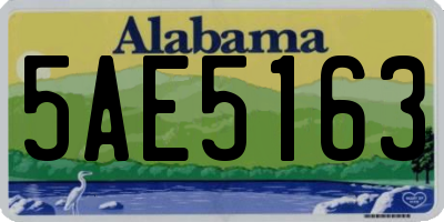 AL license plate 5AE5163