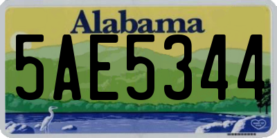 AL license plate 5AE5344