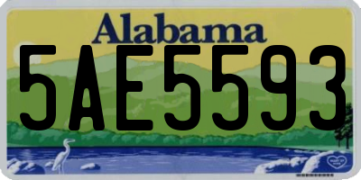 AL license plate 5AE5593