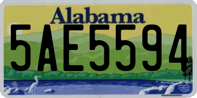 AL license plate 5AE5594