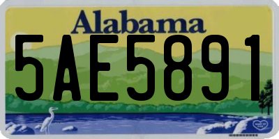 AL license plate 5AE5891