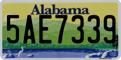 AL license plate 5AE7339