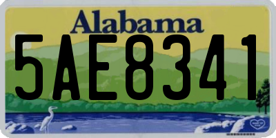 AL license plate 5AE8341