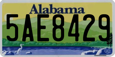 AL license plate 5AE8429